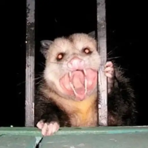 Sticker 🧛‍♂️