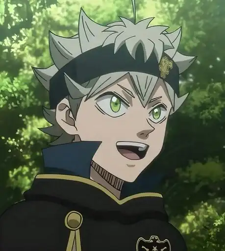 Черный клевер preview