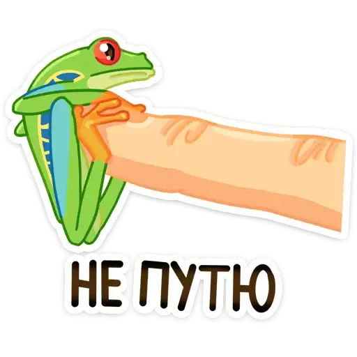 Sticker 🐸