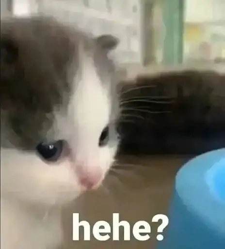 Sticker 🐈‍⬛️