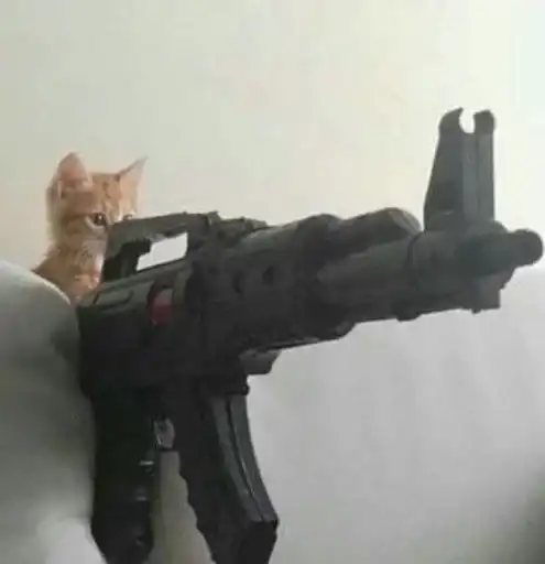 Sticker 🐈‍⬛️