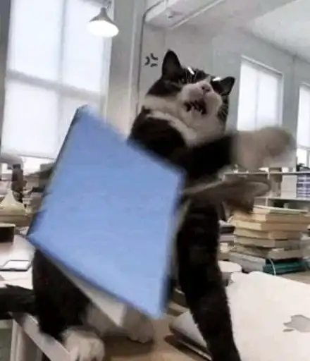 Sticker 🐈‍⬛️