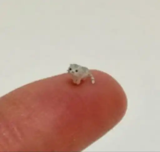 Sticker 🐈‍⬛️