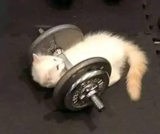 Sticker 🐈‍⬛️