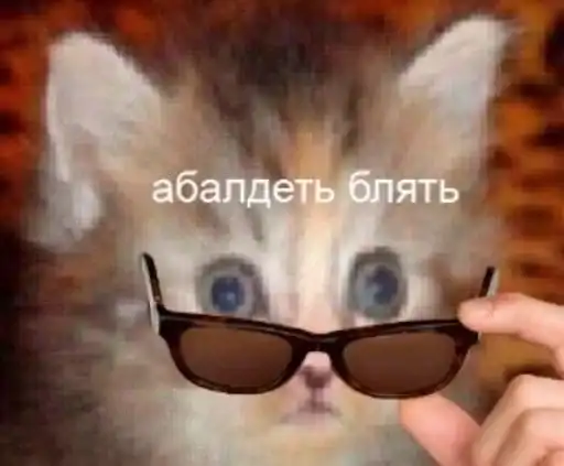 Sticker 🐈‍⬛️