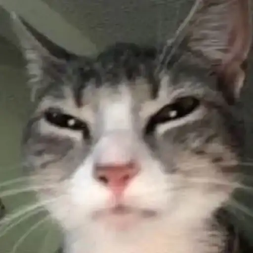 Sticker 🐈‍⬛️