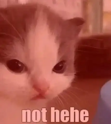 Sticker 🐈‍⬛️