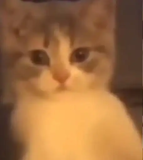 Sticker 🐈‍⬛️