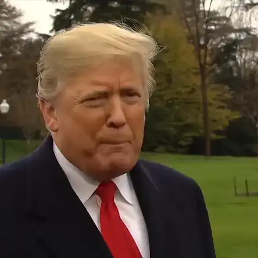 Trump & Biden preview