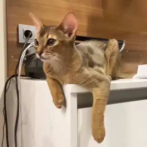 Sticker ❤️‍🔥