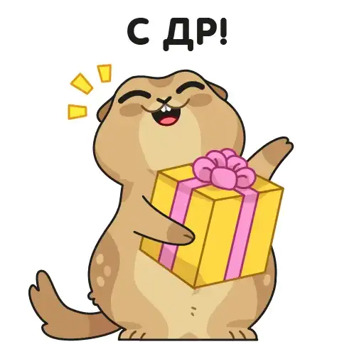 Sticker 🎁