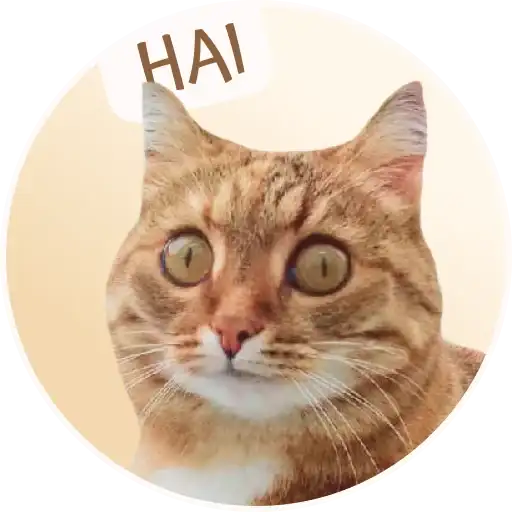 Sticker 🙋‍♀️