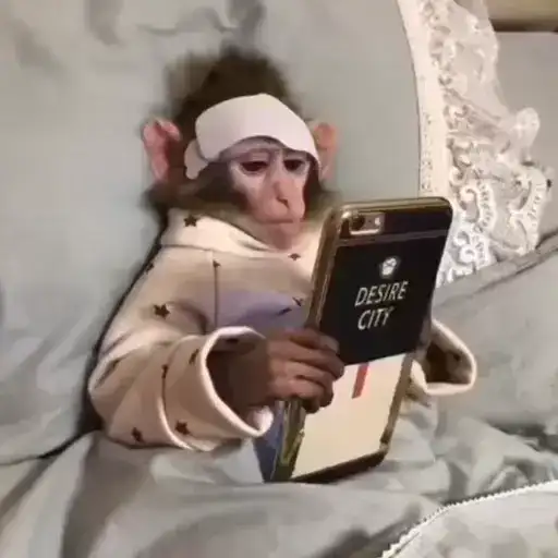 Обезьянки preview