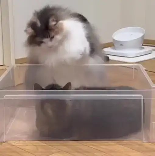 Sticker 🧖‍♀️