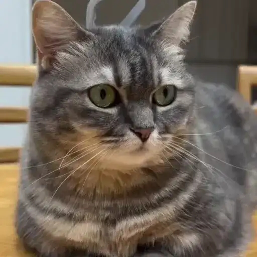 Sticker 🦹‍♂️