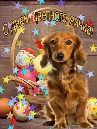 С днем 2 preview