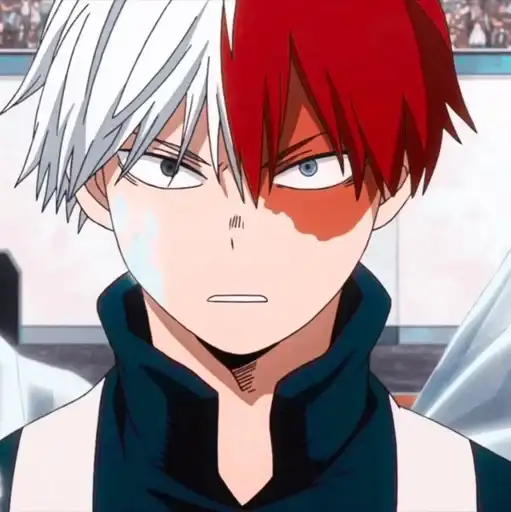 °Shouto Todoroki° preview