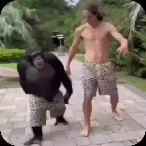 Бибизьянки preview