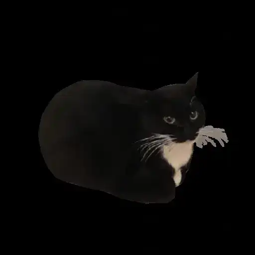 Sticker 🐱