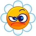 Sticker 🤨