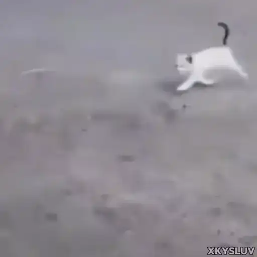 Sticker 🏃‍♂️