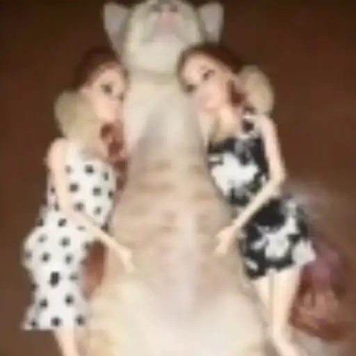 Sticker 👩‍❤️‍👨