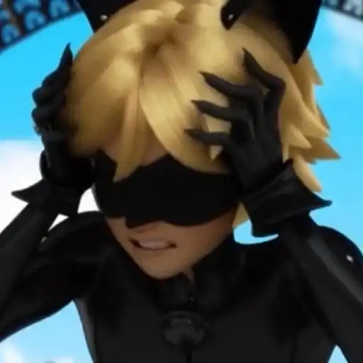 Sticker 🐈‍⬛️