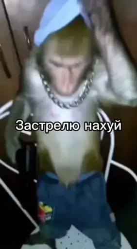 Братки от 1 preview