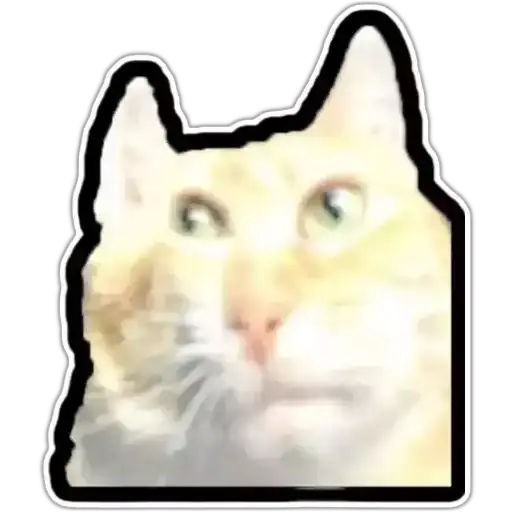 Sticker 🐱
