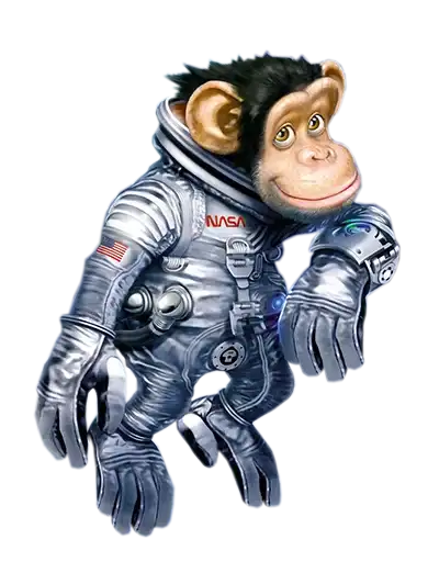 Обезьяны preview