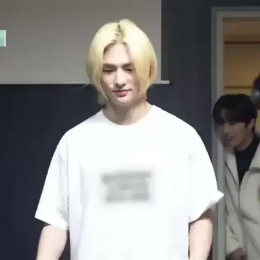 Hyunjin ⸝🎠 preview