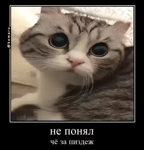 Sticker 👨‍👩‍👧‍👧