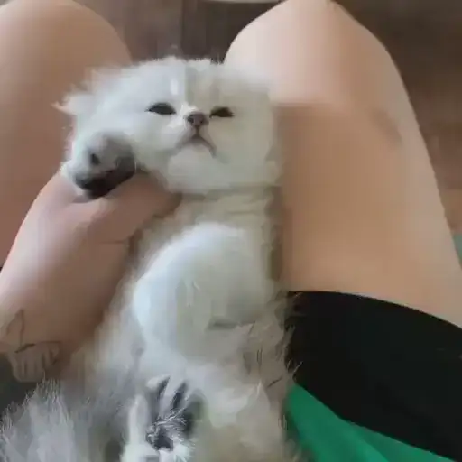 Sticker ❤️‍🩹