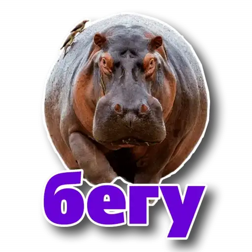 Behemoth has entered the chat preview