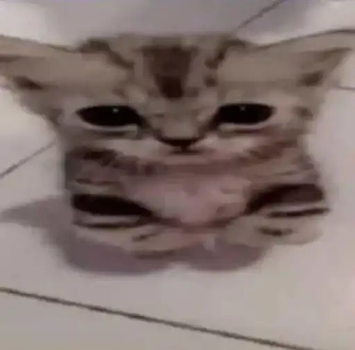 Sticker 🧍‍♀️