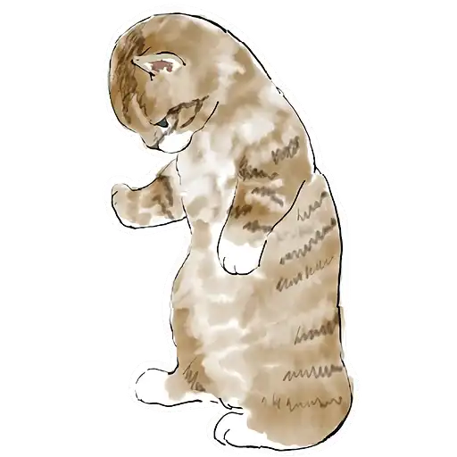 Кошачий чат 2 preview