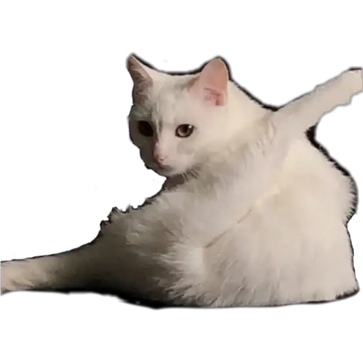 Sticker 😶‍🌫️