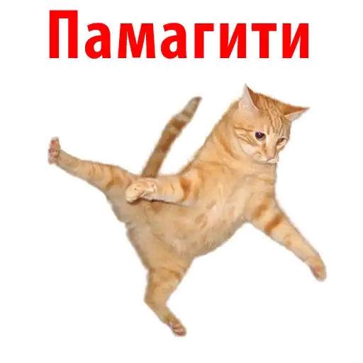 Sticker 🐱