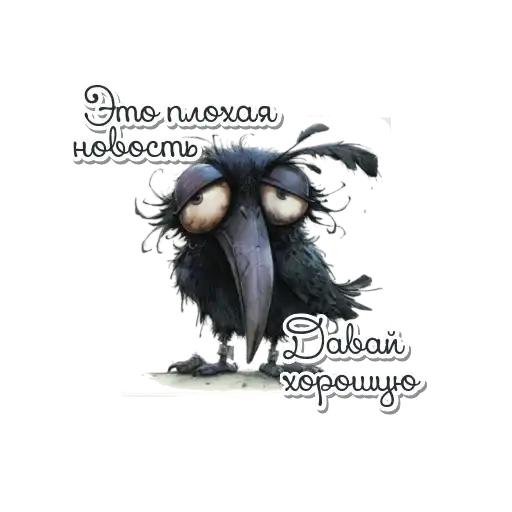 Sticker 🐦‍⬛️