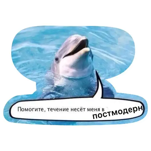 Sticker 🐬