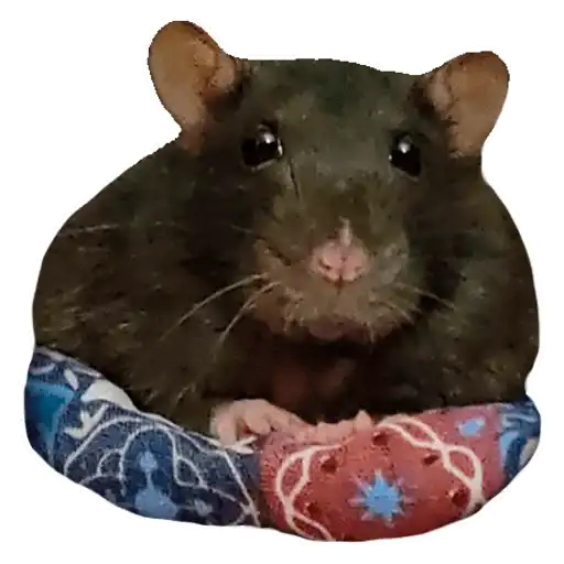 Sticker 🐀