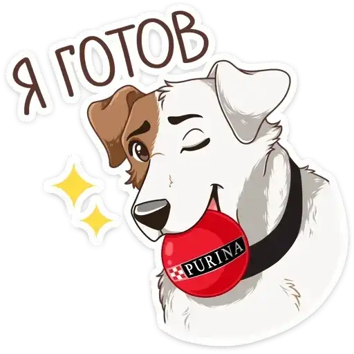Sticker 🥳