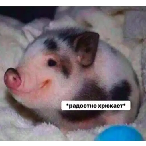 Это конец preview