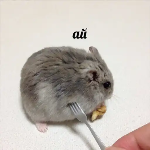 Это конец preview