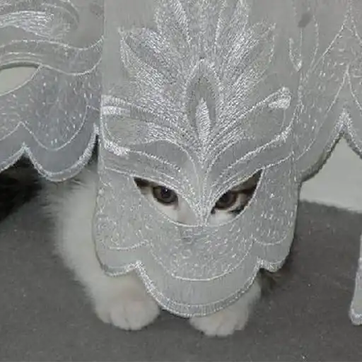 Sticker 🕵️‍♀️