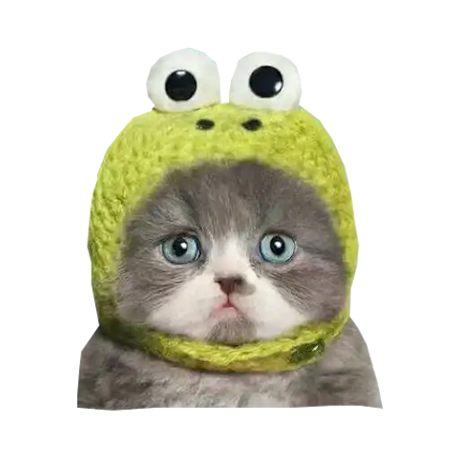 Cats in hats preview