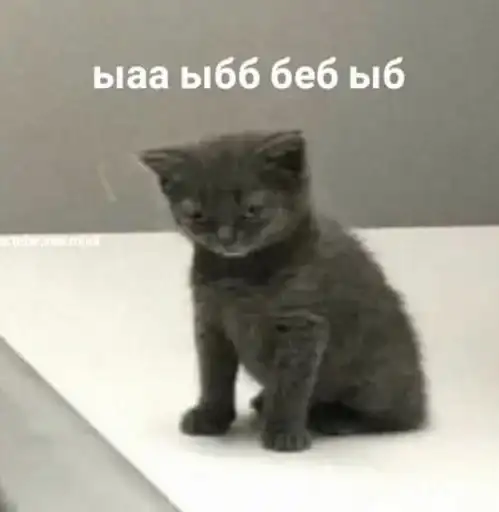 Sticker 😶‍🌫️