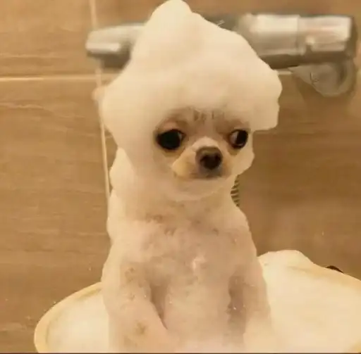 Sticker 😶‍🌫️