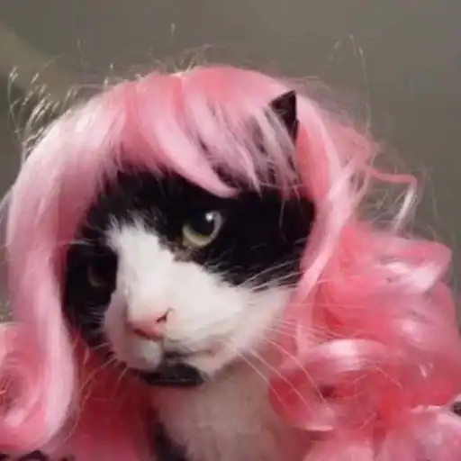 Sticker 😶‍🌫️