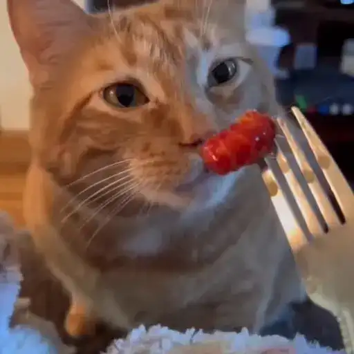 Милашки животные preview